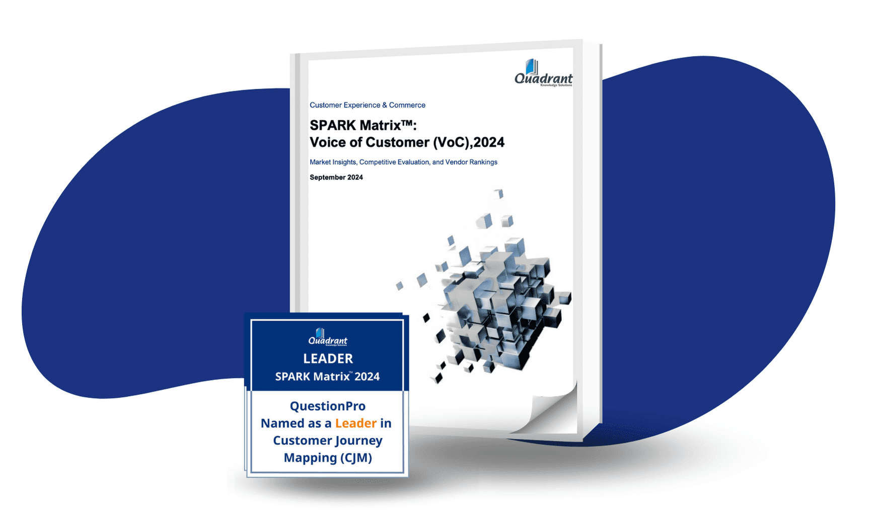 casestudy-switcher-mcca